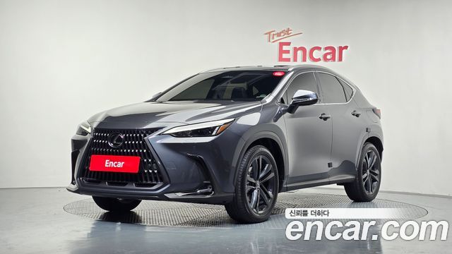 Lexus NX Premium 2025 года из Кореи