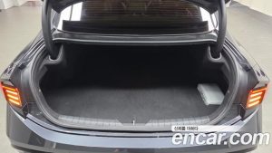 Hyundai Sonata 2.0 LPG() 2024 года из Южной Кореи