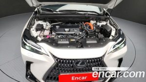 Lexus NX Premium 2022 года из Южной Кореи