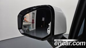 Hyundai Santafe HEV 1.6 2WD 2025 года из Южной Кореи