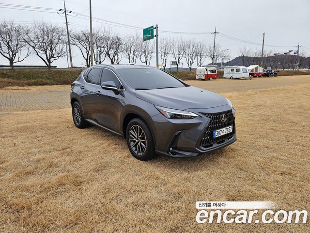 Lexus NX Premium 2024 года из Кореи