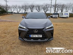 Lexus NX Premium 2024 года из Южной Кореи