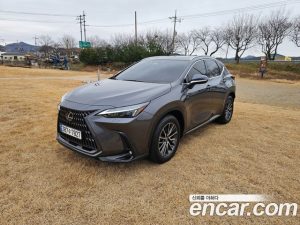 Lexus NX Premium 2024 года из Южной Кореи