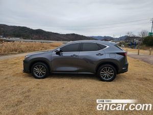 Lexus NX Premium 2024 года из Южной Кореи
