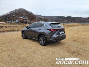 Lexus NX Premium 2024 года из Южной Кореи