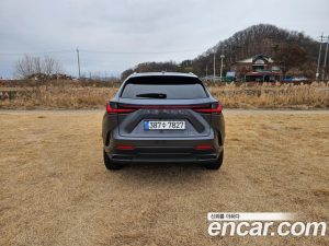 Lexus NX Premium 2024 года из Южной Кореи
