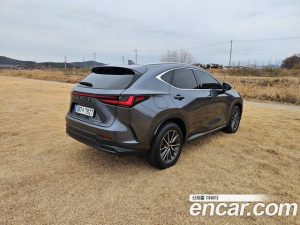 Lexus NX Premium 2024 года из Южной Кореи
