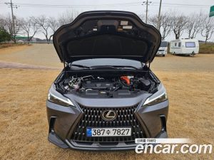 Lexus NX Premium 2024 года из Южной Кореи