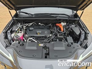 Lexus NX Premium 2024 года из Южной Кореи