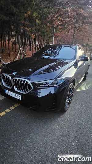 BMW X6 xDrive30d M Sport 2025 года из Южной Кореи