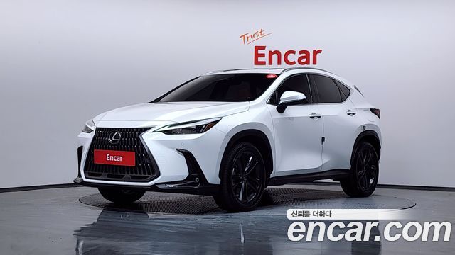 Lexus NX Premium 2025 года из Кореи