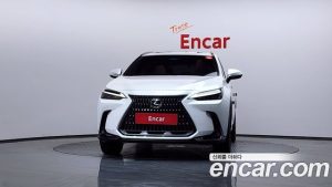 Lexus NX Premium 2025 года из Южной Кореи