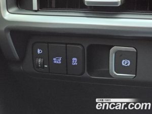 Hyundai Santafe Бензин 2.5T 2WD 2024 года из Южной Кореи