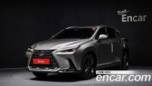 Lexus NX Premium 2025 года из Южной Кореи