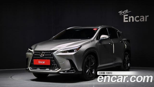 Lexus NX Premium 2025 года из Кореи
