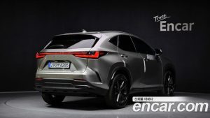 Lexus NX Premium 2025 года из Южной Кореи