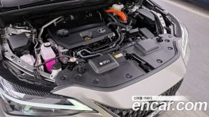 Lexus NX Premium 2025 года из Южной Кореи