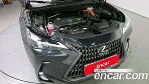 Lexus NX Premium 2023 года из Южной Кореи