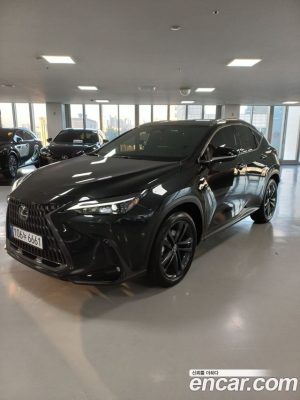 Lexus NX Premium 2025 года из Южной Кореи