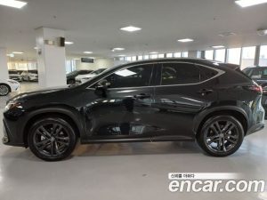 Lexus NX Premium 2025 года из Южной Кореи