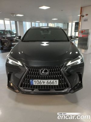 Lexus NX Premium 2025 года из Южной Кореи