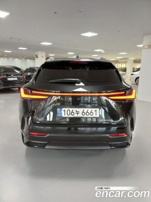 Lexus NX Premium 2025 года из Южной Кореи