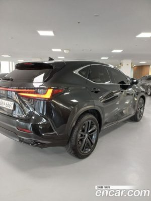 Lexus NX Premium 2025 года из Южной Кореи