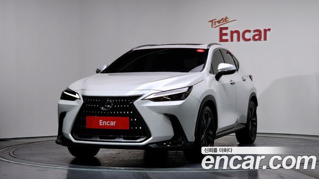 Lexus NX Premium 2025 года из Кореи