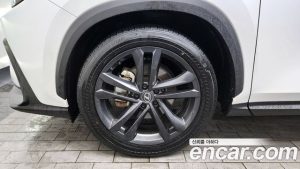 Lexus NX Premium 2025 года из Южной Кореи