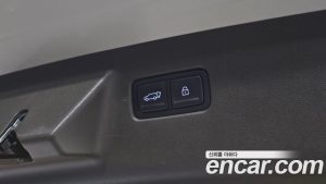 Hyundai Santafe HEV 1.6 2WD 2024 года из Южной Кореи
