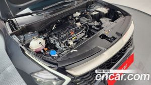 Kia Sportage Бензин 1.6 Turbo 2WD 2024 года из Южной Кореи