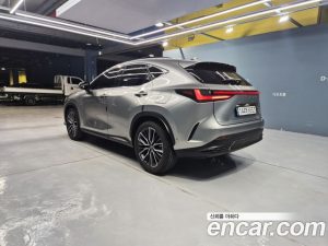 Lexus NX Luxury 2025 года из Южной Кореи