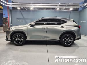 Lexus NX Luxury 2025 года из Южной Кореи