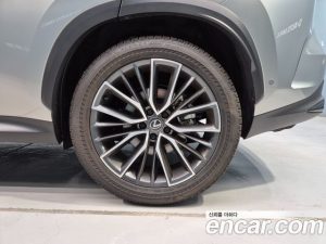 Lexus NX Luxury 2025 года из Южной Кореи
