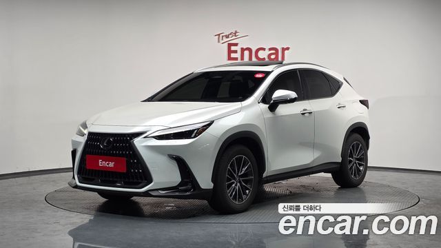 Lexus NX Premium 2025 года из Кореи
