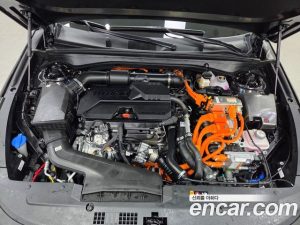 Kia K8 Noblesse 2025 года из Южной Кореи