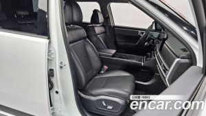 Hyundai Santafe Бензин 2.5T 2WD 2024 года из Южной Кореи