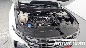 Hyundai Tucson Бензин 1.6 Turbo 2WD 2024 года из Южной Кореи