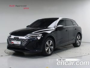 Audi Q8 e-tron 55 4WD 2024 года из Южной Кореи