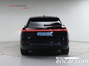 Audi Q8 e-tron 55 4WD 2024 года из Южной Кореи