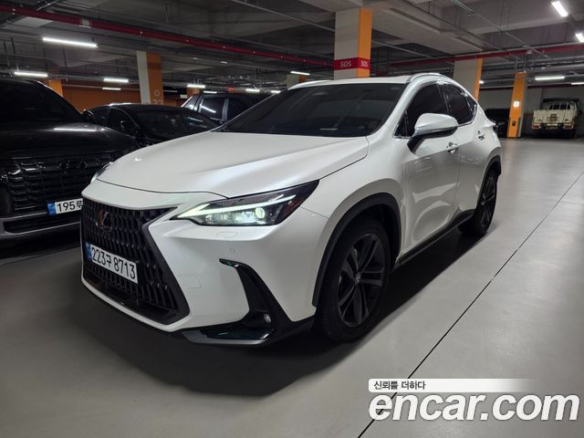 Lexus NX Premium 2025 года из Кореи