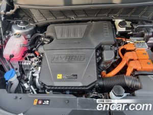 Kia Niro The Best Choice 2026 года из Южной Кореи