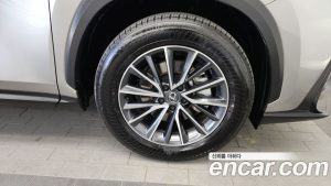 Lexus NX Premium 2025 года из Южной Кореи