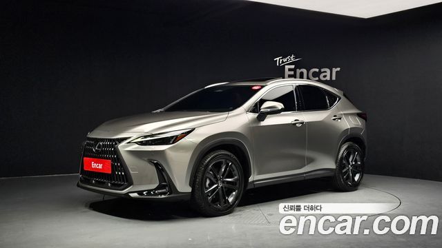 Lexus NX Premium 2025 года из Кореи