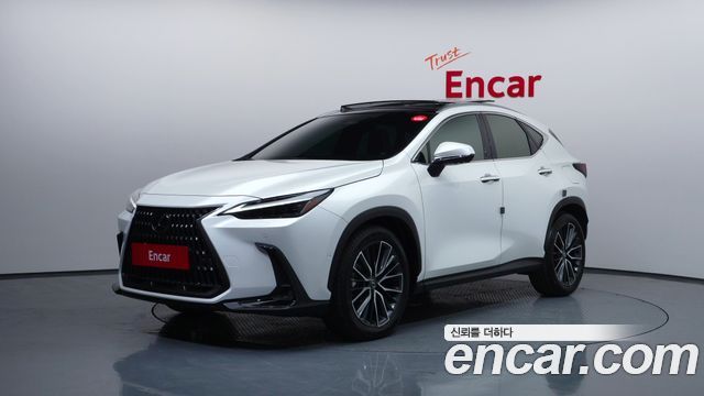 Lexus NX Luxury 2025 года из Кореи