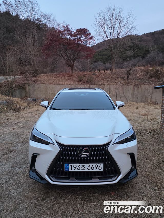 Lexus NX Premium 2025 года из Кореи