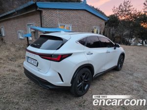 Lexus NX Premium 2025 года из Южной Кореи