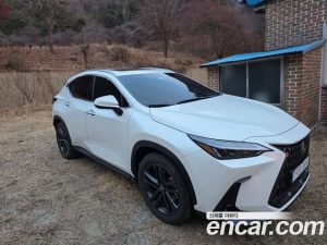 Lexus NX Premium 2025 года из Южной Кореи