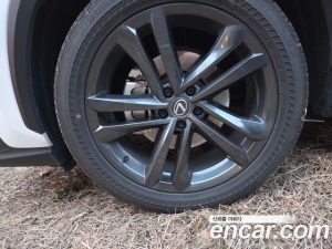 Lexus NX Premium 2025 года из Южной Кореи