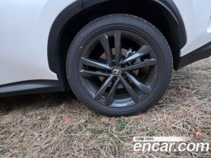 Lexus NX Premium 2025 года из Южной Кореи